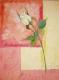 WeiÃe Rose -  Lena Wanner - Acryl auf Leinwand - Sonstiges-Rosen - 