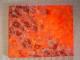 Indian Summer -  Sahira - Acryl auf Leinwand - Sonstiges - 