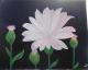 Blume violett/lila -  faridi - Acryl auf Leinwand - Sonstiges-Blumen - 