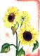 Sunflower 4 -Lutz Erler- - Lutz Erler - Aquarell auf Papier - Sonstiges - 