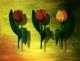 flying tulips - Karin Stein - Acryl auf Pappe - Blumen-Sonstiges - Symbolismus
