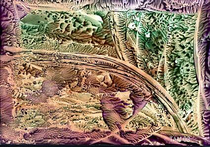Düsterer Wald, Encaustic Nr.6 (2003)-Tan- -  Tan -  auf Array - Array - 