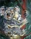 Koala - Peter Mach - Acryl auf Leinwand - Tiere - Klassisch