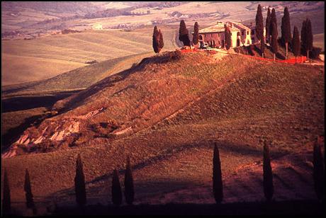 a toscana scene 2 (2001) Norbert Felzl - Norbert Felzl -  auf  - Array - 