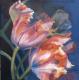 Tulpen im Dunkel - ingrid wenz-gahler - Acryl auf  - Natur - GegenstÃ¤ndlich