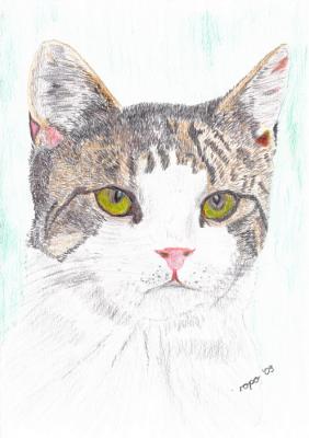 Kater Merlin - Rolf Poetsch -  auf  - Array - 