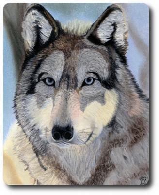 TierART Wolf - Askara Jinn - Array auf  - Array - 