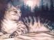 Katze im Schnee - Boo D - Airbrush auf  - Tiere - 