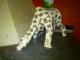 Giraffe - Renate Dill - Keramik auf  - Tiere - 