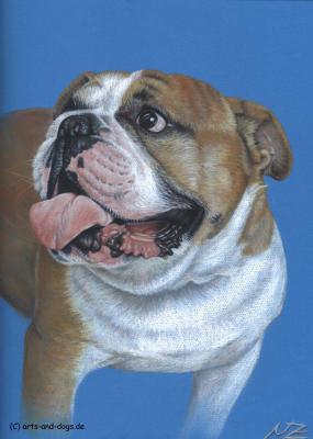 Englische Bulldogge - Nicole Zeug - Array auf  - Array - 