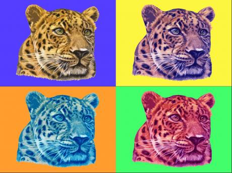 PopArt Leopard - Nicole Zeug - Array auf  - Array - 