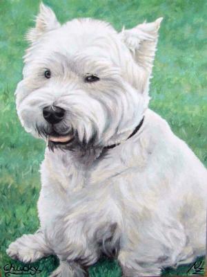 White West Highland Terrier - Nicole Zeug - Array auf  - Array - 