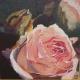 Rose am Welken - ingrid wenz-gahler -  auf Leinwand - Natur - Naturalismus