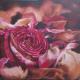 Rose in welken BlÃ¤ttern - ingrid wenz-gahler - Acryl auf  - Rosen-Abend - Realismus