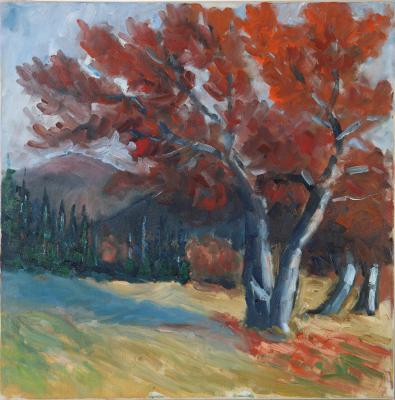 Windbuchen auf dem Schauinsland - Josef Heinzler - Thomas Knab - Array auf Array - Array - Array Windbuchen auf dem Schauinsland - Josef Heinzler - Thomas Knab - Array auf Array - Array - Array