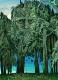 Der Waldgeist - Konstantin Avdeev - DigitaleKunst auf  - Fantastisch-BÃ¤ume-Wald - 