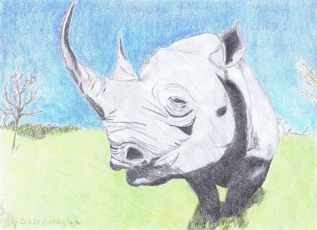 Nashorn - Claudia Lüthi - Array auf - Array - Array Nashorn - Claudia Lüthi - Array auf - Array - Array